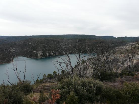 Beauté sauvage du lac d' Esparron