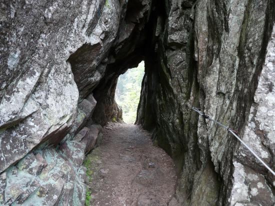le tunnel du sentier des roches à la Schlucht (88)