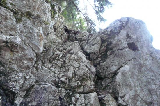 l' accès déséquipé de la via privée du rocher du Roux