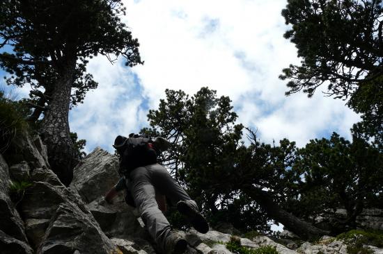 au départ du pas d 'escalade du jardin au départ du pas d 'escalade du jardin