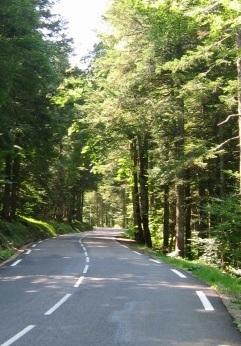 Dans la montée du Col de porte