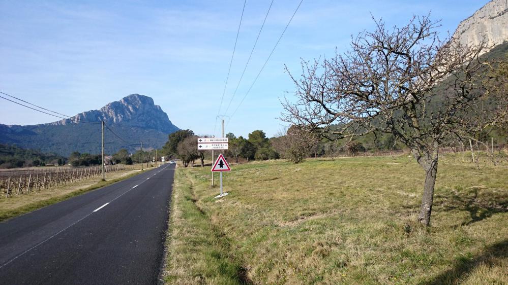 Peu après le départ, le pic St Loup s'impose !