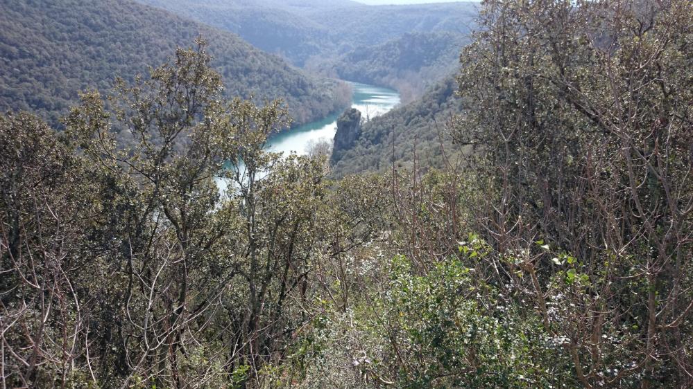 Vue sur l' hérault avant Causse la Selle