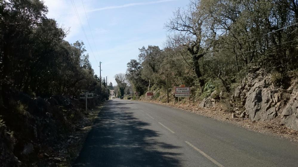 Causse la Selle, sur le plateau au dessus de l' Hérault