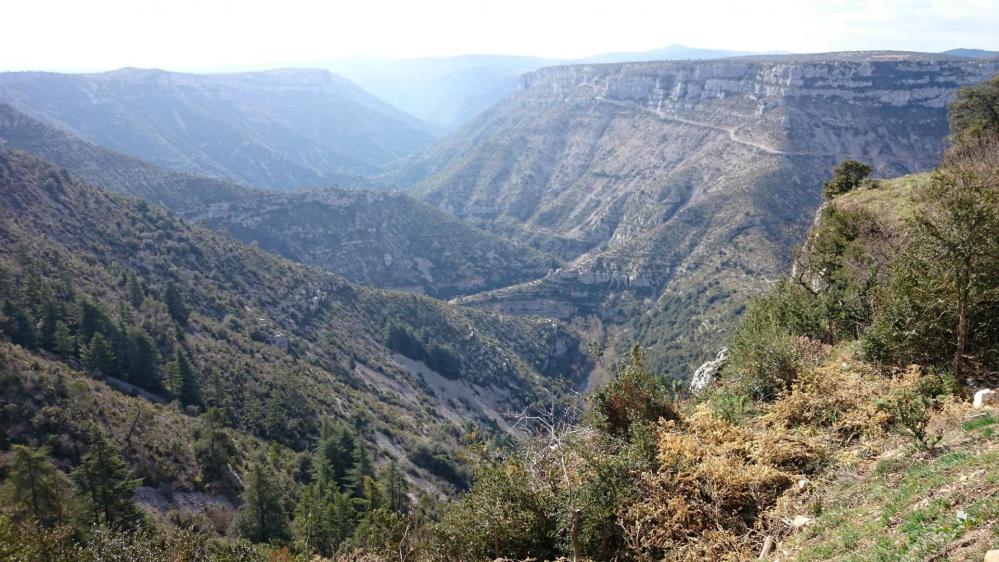 Le cirque de Navacelles, au fond la route qui remonte vers St Maurice !