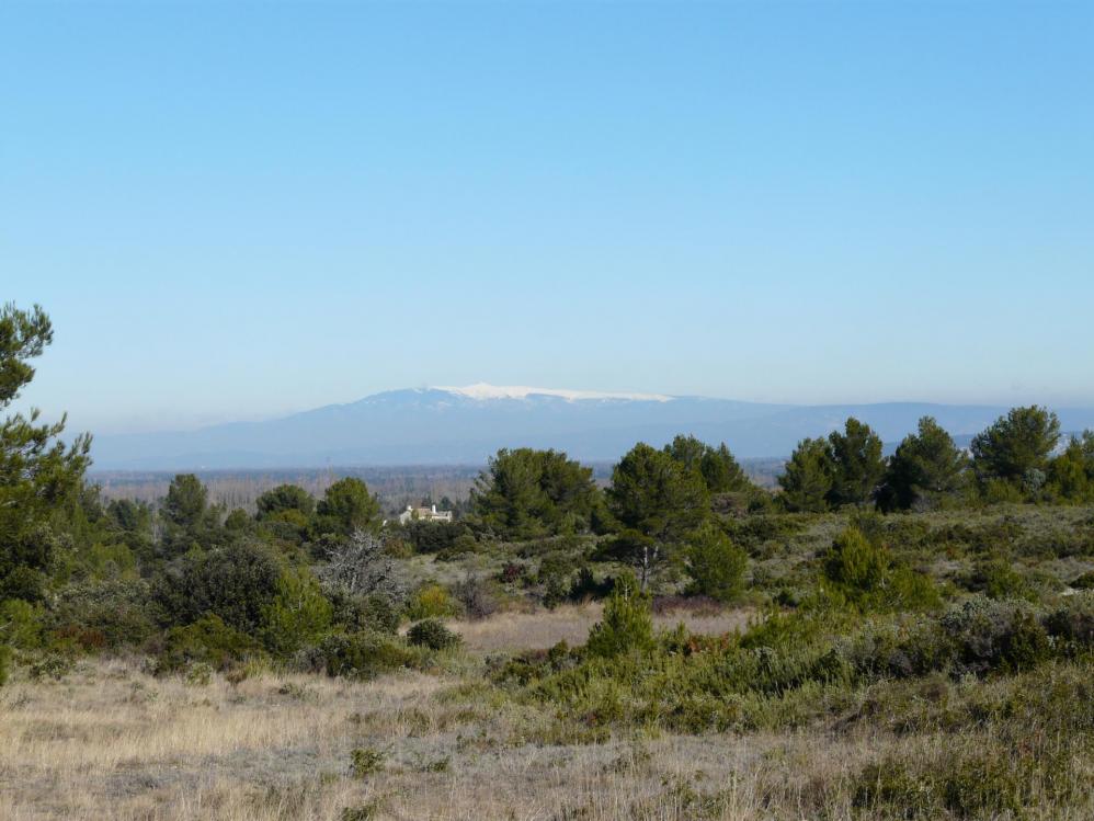 Tout proche et pourtant assez loin, le Mont Ventoux habillé de neige !