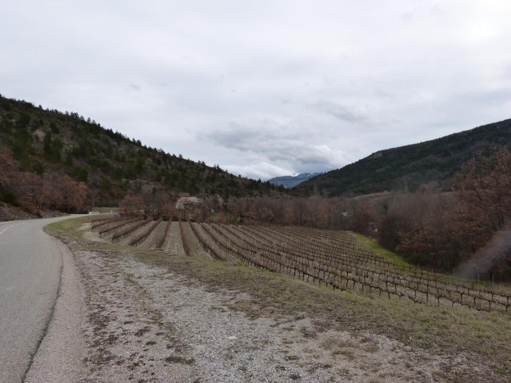 Retour vers Buis par St Jalle et le col d' Ey