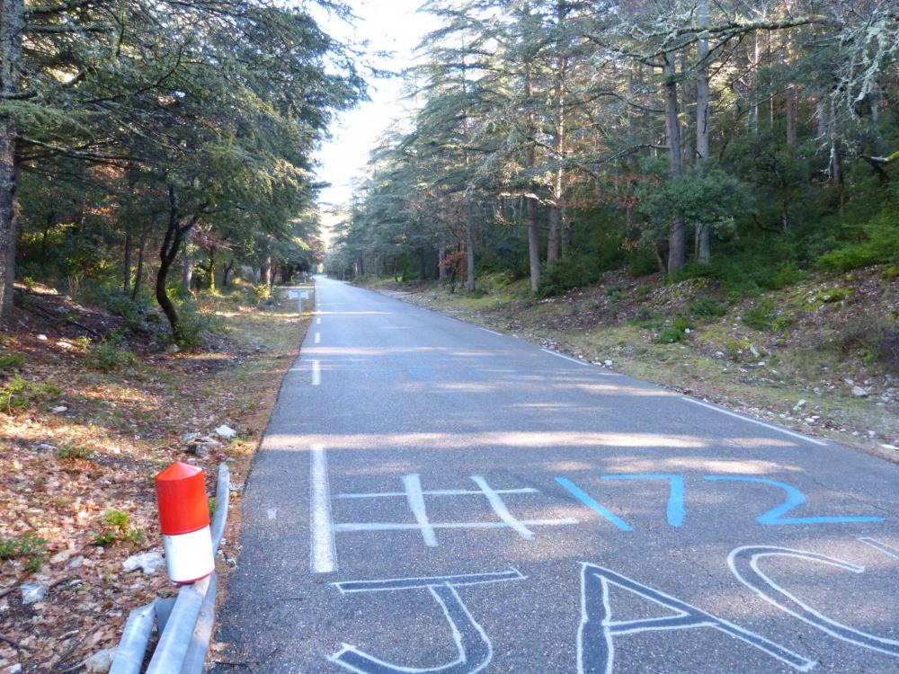 Ces montées rectilignes sont en fait les plus éprouvantes dans la montée du ventoux !