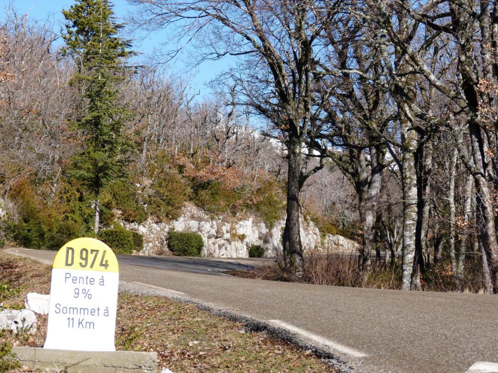 grimpée dure mais agréable en sous bois vers le Mont Ventoux depuis Bédoin