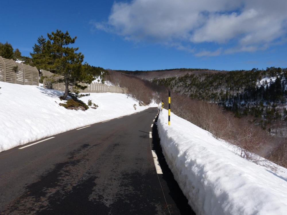 descente du mont Ventoux direction Sault à partir du chalet Reynard