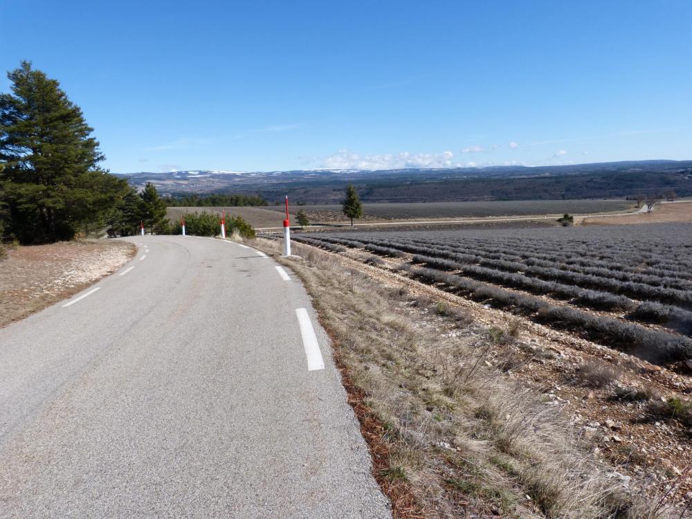 Fin de la descente du mont Ventoux à l' approche de Sault