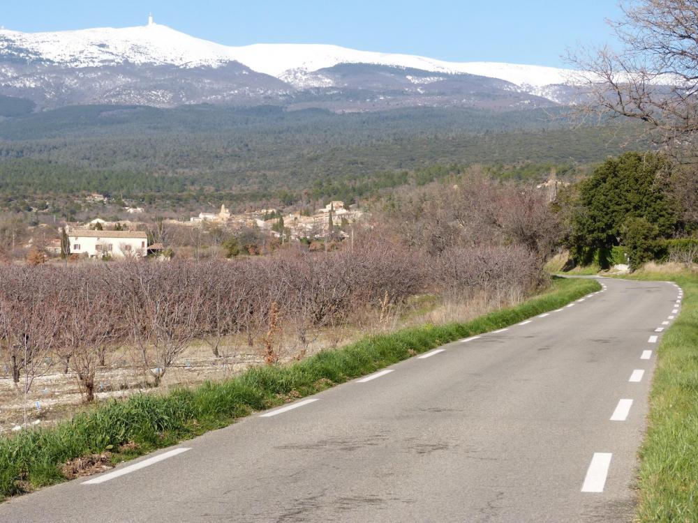 Retour vers Flassan puis Bédoin