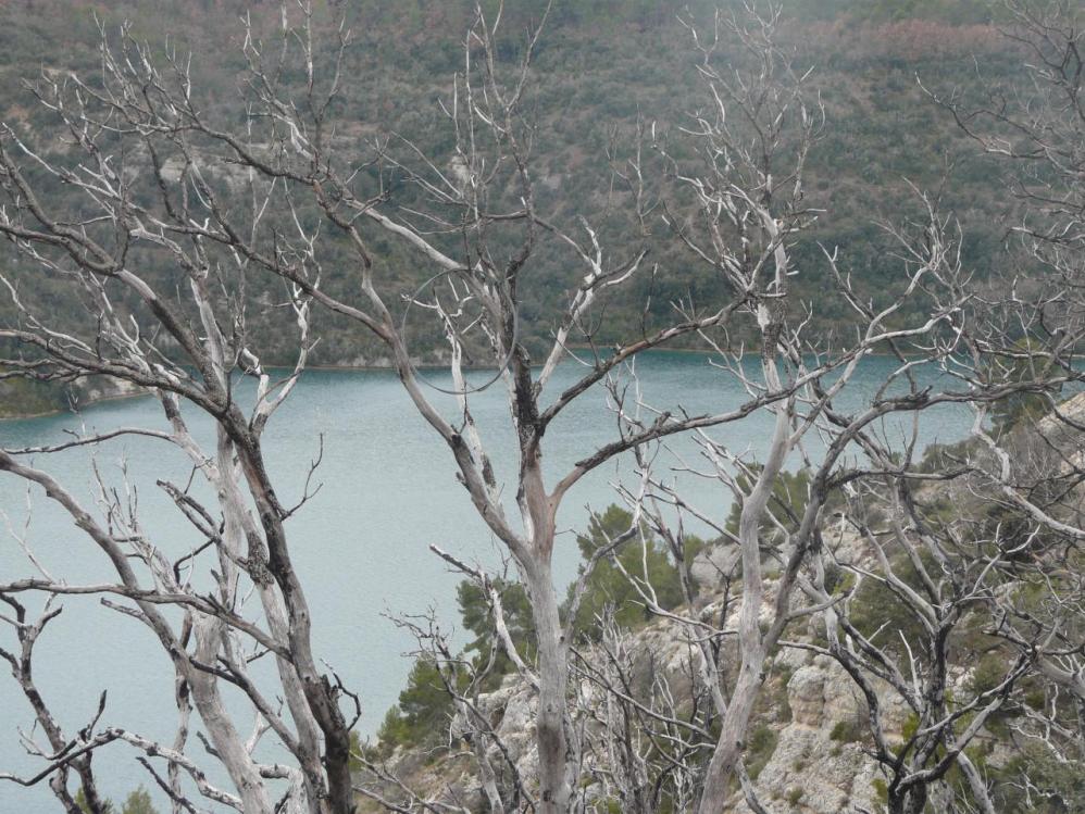 le lac d' Esparron en hiver