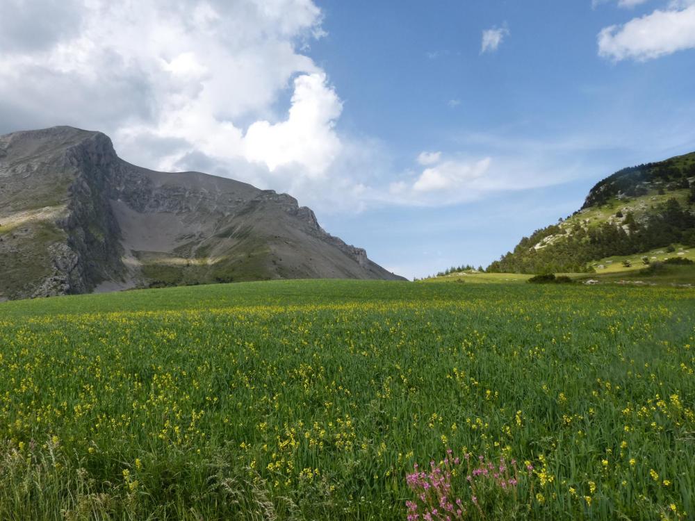 A 3 km du col du Noyer