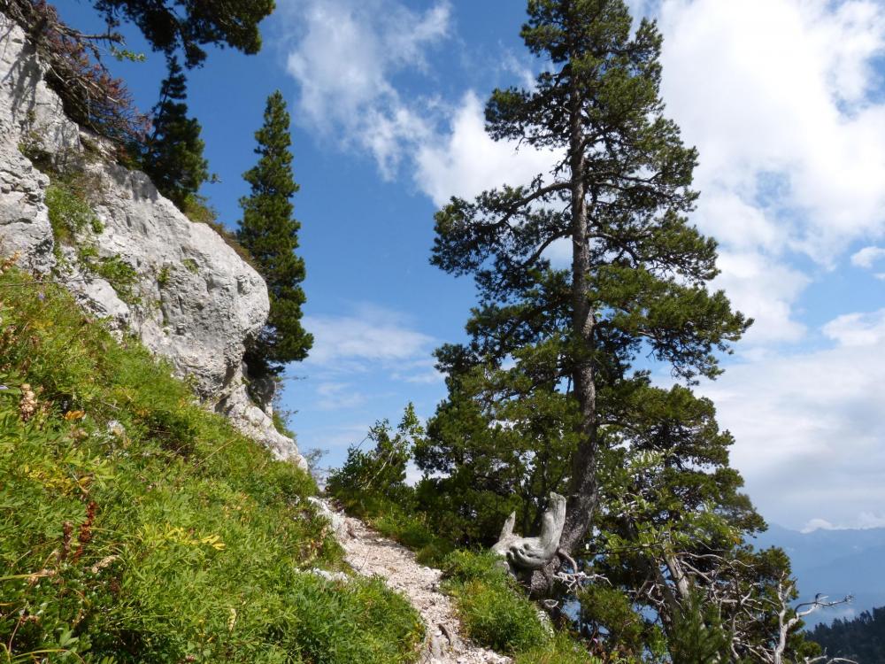 Après le pas des Barres, direction le Plateau Après le pas des Barres, direction le Plateau