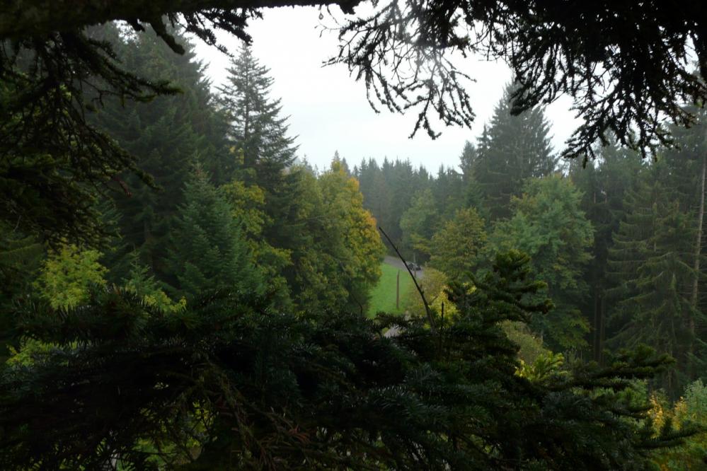 la vue sur la route de proximité