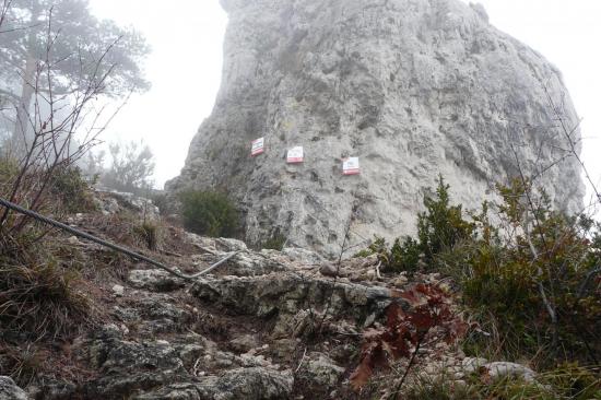 Arrivée commune au sommet de la via juste avant la tyrolienne