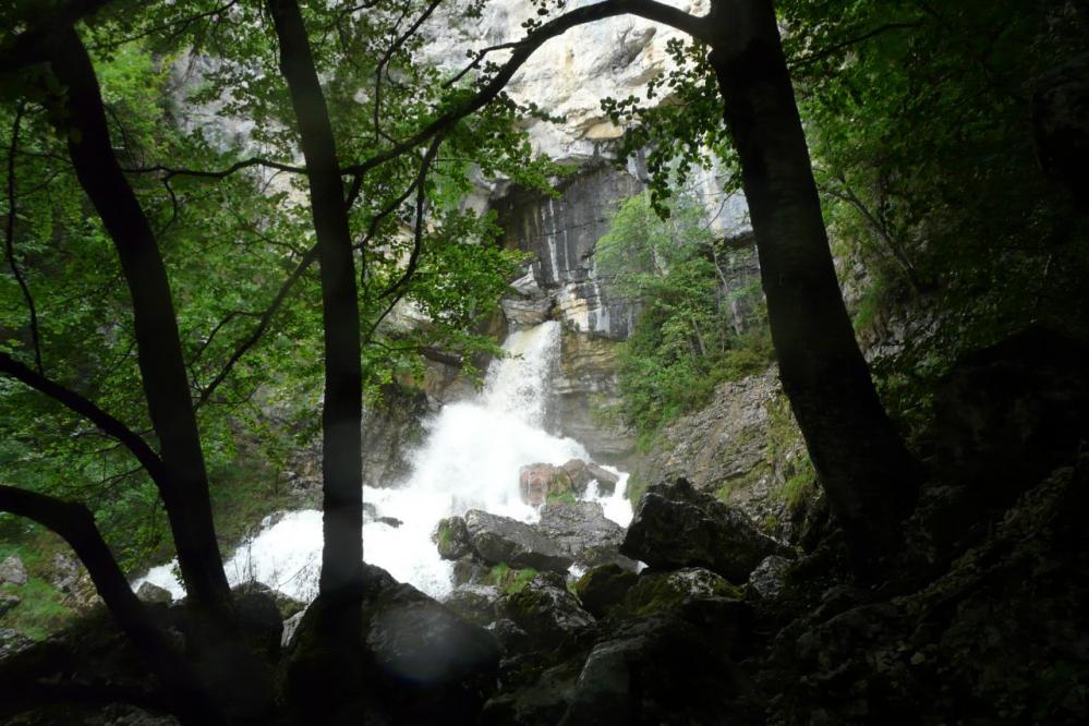 la cascade de la Doria au moment de remonter dans la forêt
