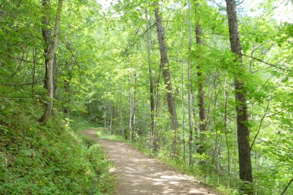 chemin d' accés en sous bois