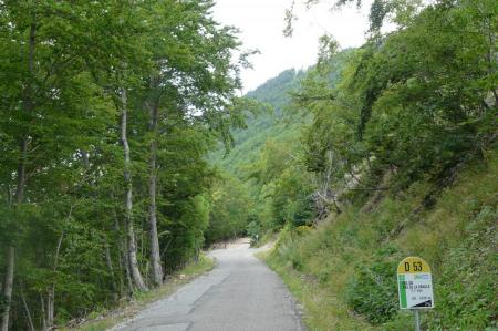 Montée du col du pas de la Graille en grand epartie en forêt
