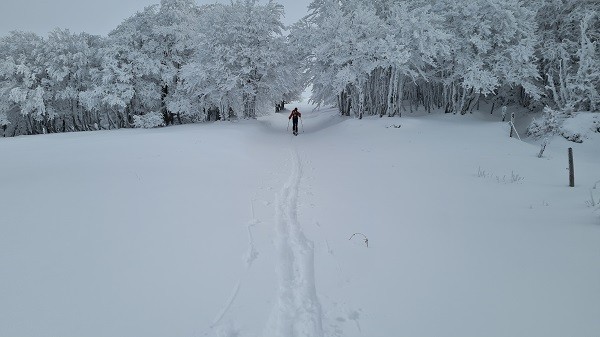 Ski de randonnée vers le Kastelberg  (Vosges)