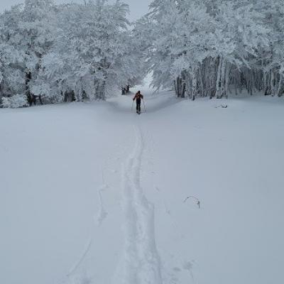 Ski de randonnée vers le Kastelberg  (Vosges)