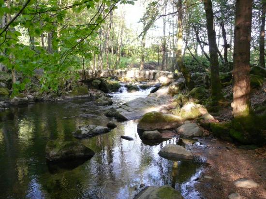 Le saut des cuves à Gérardmer