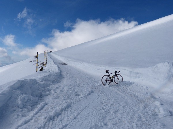 Sous le sommet du Ventoux au début du Printemps !