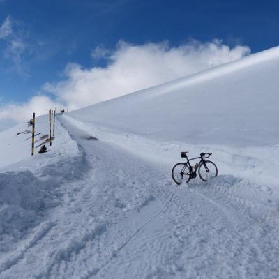 Sous le sommet du Ventoux au début du Printemps !