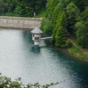 lac du ballon Vosges