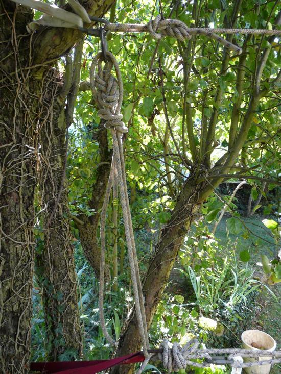 Tension des branches du pont de singe