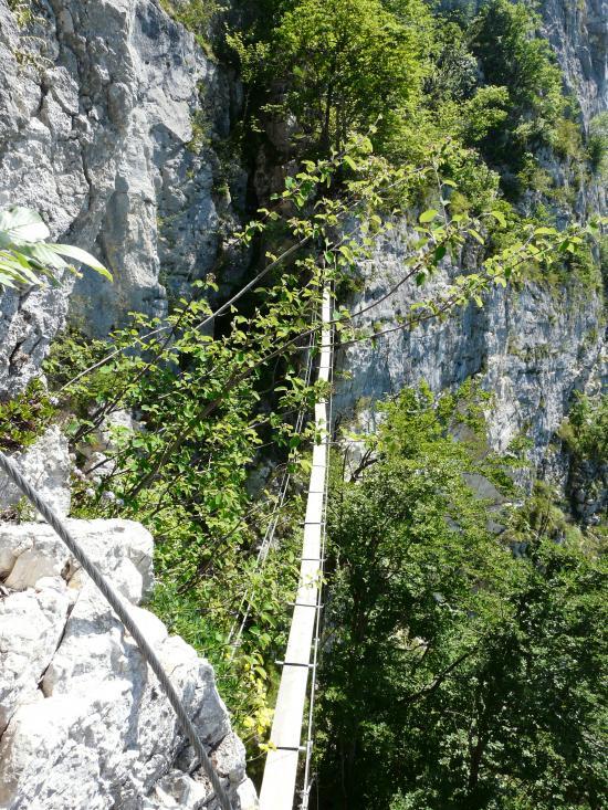 Passerelle de la Pchti à St Jean d'Arvey-savoie-2009