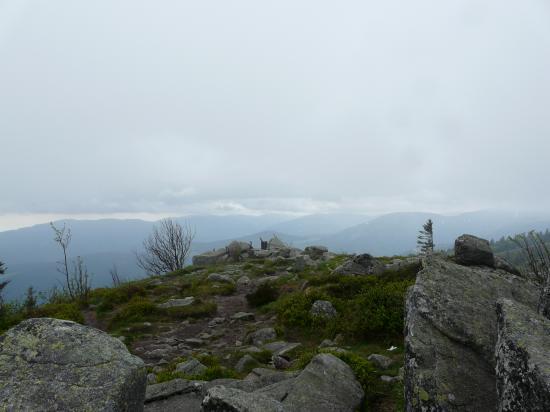 le haut des rochers du Tanet (88-schlucht)