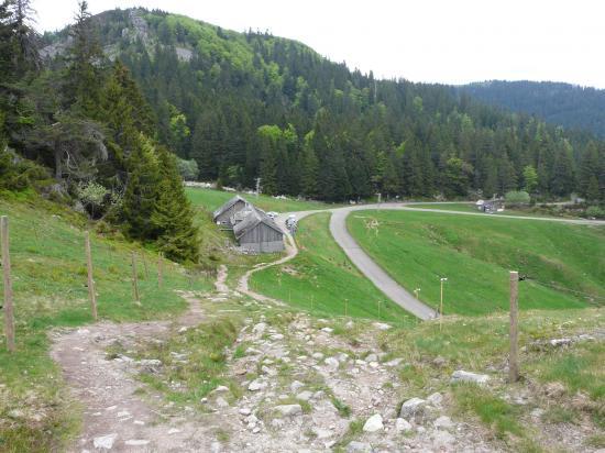 Ferme auberge - station de ski - départ école d' escalade et . . .  via ferrata  (?)- Le tanet (88)