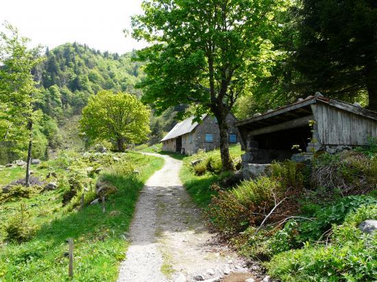 ferme auberge et refuge dans le vallon du frankental (Hohneck)
