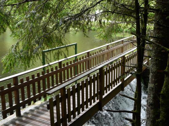 Passerelle et retenue du vallon de Belbriette (Xonrupt - 88) Passerelle et retenue du vallon de Belbriette (Xonrupt - 88)