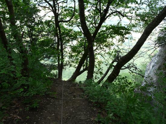 La sortie en forêt, à l' ombre !