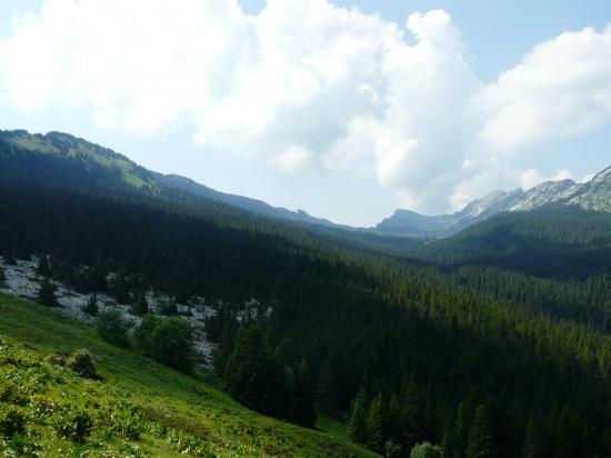 Les hauts plateaux (Chartreuse 2010)