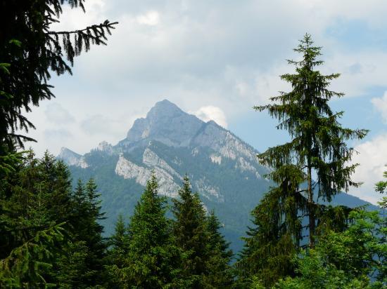 Circuit vélo cols Cucheron/Porte/Coq de St Pierre/Chartreuse