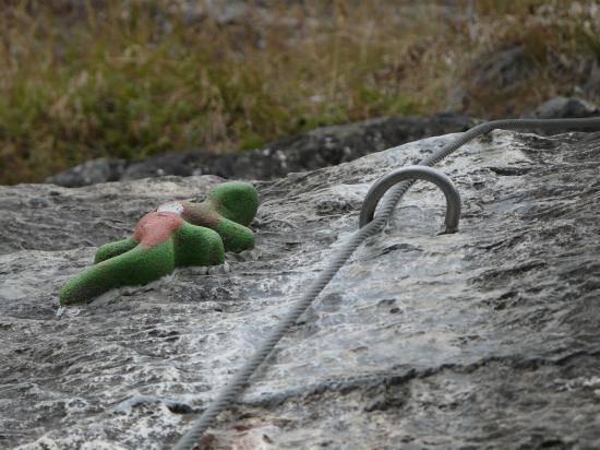 Les drôles de bestioles rencontrées sur la via ! (...prises d' escalade)