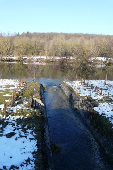 Le Larot se jette dans la Moselle à Pierre la Treiche