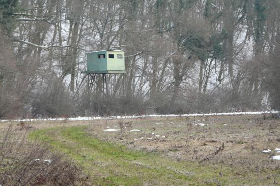 cabane de chasseur sur pilotis dans les vallon des près entre la deuille d 'Ochey et Thuilley