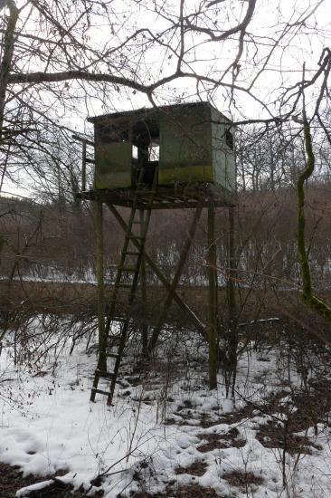 cabane de chasseur sur pilotis dans les vallon des près entre la deuille d 'Ochey et Thuilley