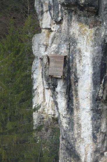 L' arrivée de la tyrolienne de 60 m.