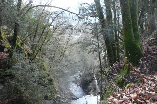 le torrent des cascades tout près d' Angon