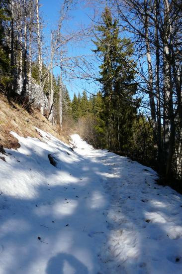 le départ du chemin vers le col de l' Aulp