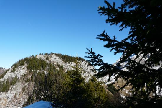 Randonnée Col de la Forclaz/chalet de l' Aulp Haute Savoie