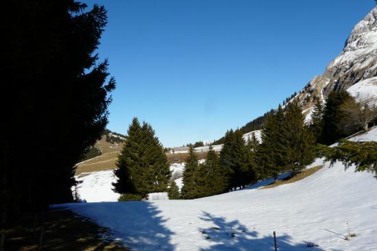 En vue du chalet de l' Aulp