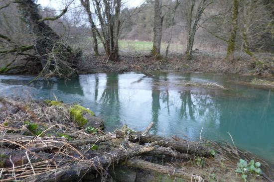 la deuille de Crézilles, de l' eau calme au courant vif !