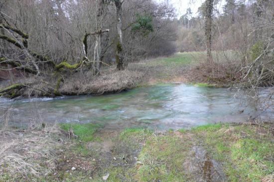 Un peu plus loin la  rivière de la deuille de Crézilles a effacé le chemin !